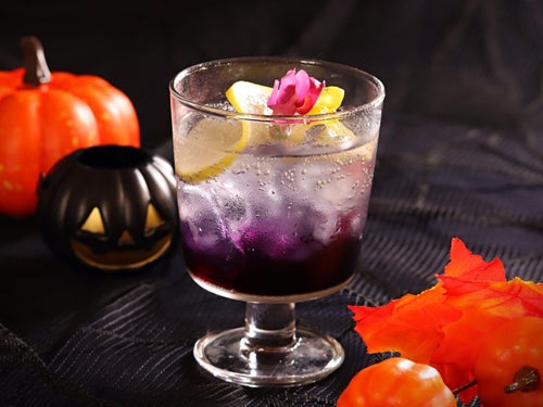 バタフライ・ナイトメア(胡蝶が見せる夢)